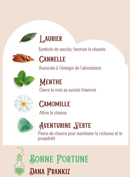 Bonne Fortune💚Abondance