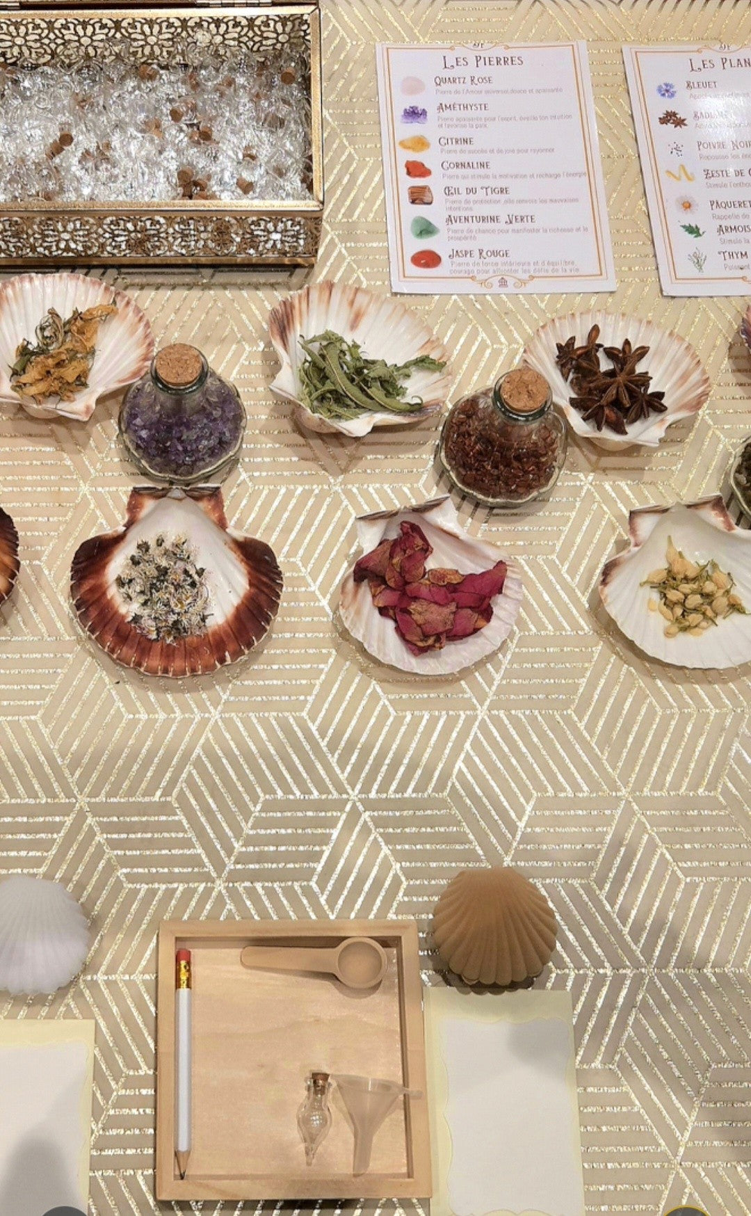 Atelier Créatif - Potion & Apéro