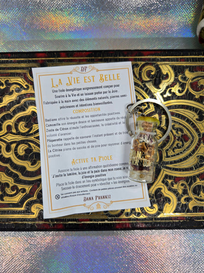 La Vie est Belle💛Positivité